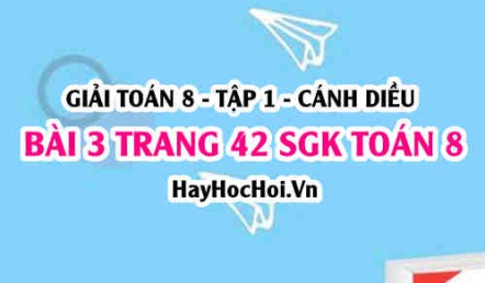 Giải bài 3 trang 42 Toán 8 Tập 1 SGK Cánh Diều